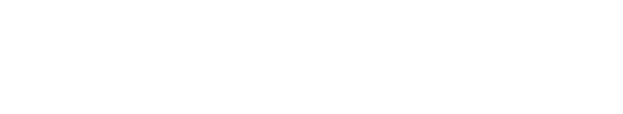Maintain and expand financial resources To support and contribute to organisational growth, commission research, and ...