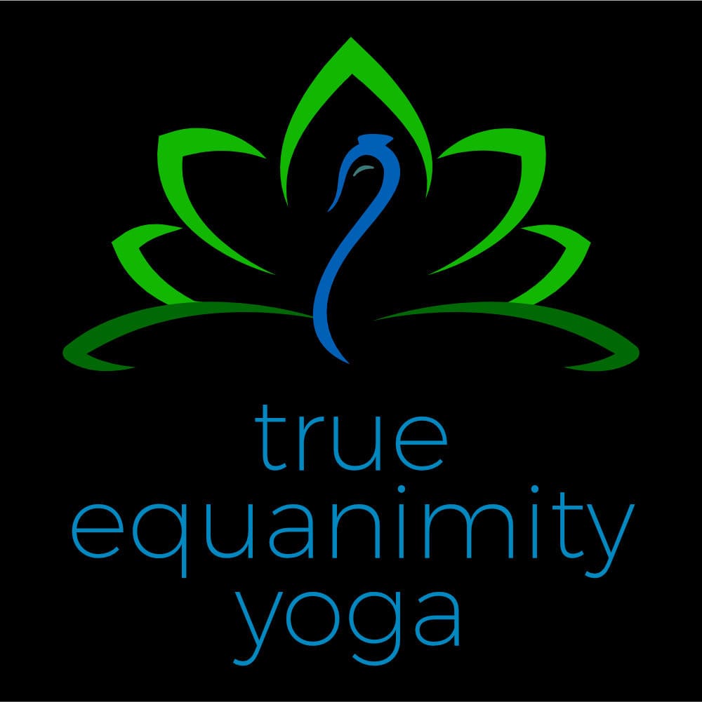 Dru Yoga Class (Chair Based)